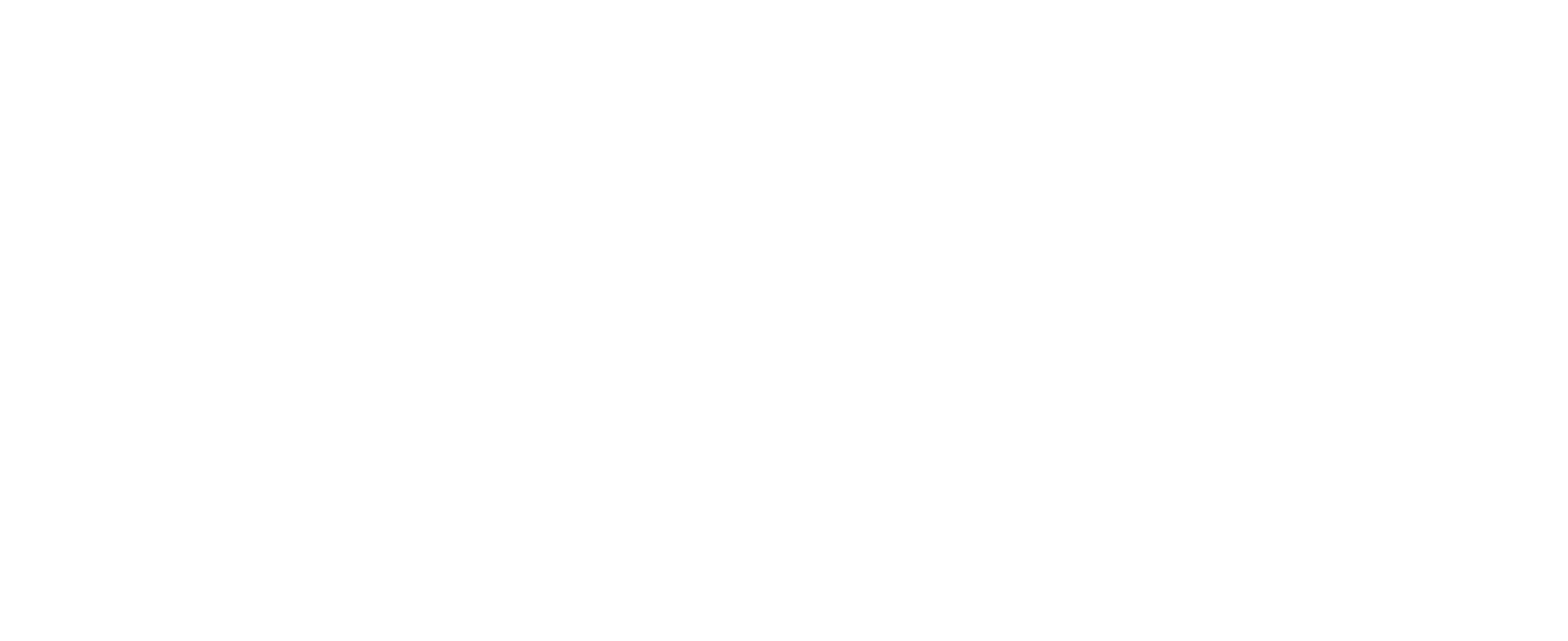 datformatie® B.V. logo